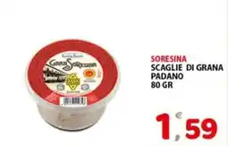 Premium Supermercati Scaglie di grana padano SoreSina offerta