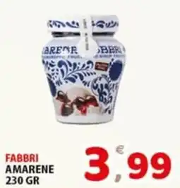 Premium Supermercati Fabbri amarene offerta