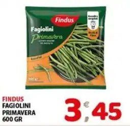 Mio Market Findus Fagiolini Primavera offerta
