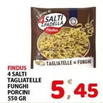 Premium Supermercati Findus 4 Salti Tagliatelle ai Funghi Porcini offerta