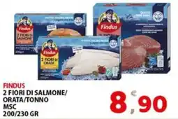 Premium Supermercati Findus 2 Fiori di Salmone/Orata/Tonno offerta