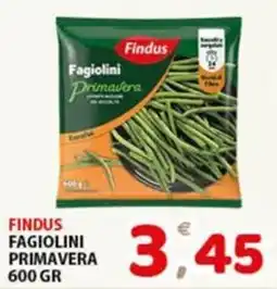 Premium Supermercati Findus Fagiolini Primavera offerta