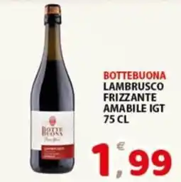 Premium Supermercati Bottebuona Lambrusco Frizzante Amabile IGT offerta
