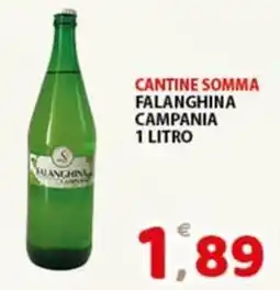 Premium Supermercati Falanghina Campania offerta