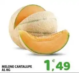Il Centro Superstore Melone cantalupa offerta