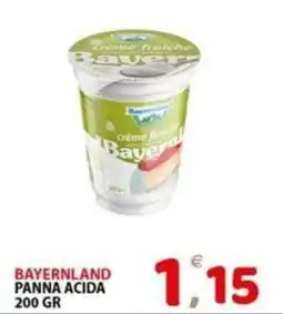 Il Centro Superstore Bayerland panna acida offerta