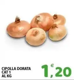 Il Centro Superstore Cipolla dorata offerta
