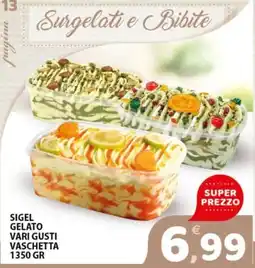 Premium Supermercati Sigel gelato vari gusti vaschetta offerta