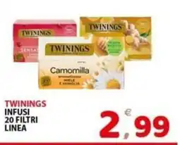 Il Centro Superstore Twinings Camomilla offerta