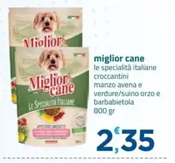 Bravo Casa Miglior cane le specialità italiane offerta