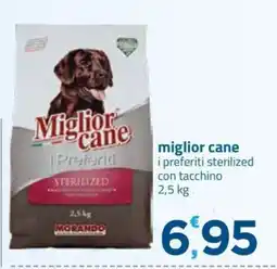 Bravo Casa Miglior cane i preferiti sterilized offerta