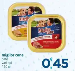 Bravo Casa Miglior cane patè offerta