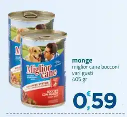 Bravo Casa Monge Miglior cane offerta