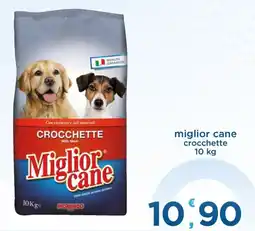 Bravo Casa Crocchette Miglior cane offerta