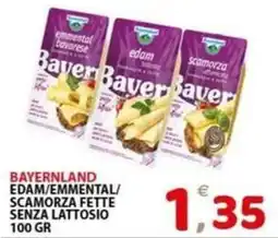 Il Centro Superstore Bayerland Edam/Emmental/Scamorza fette senza lattosio offerta