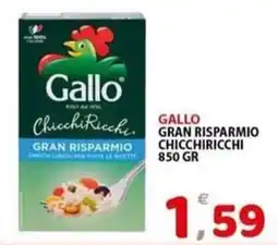Il Centro Superstore Gallo Chicchiricchi offerta