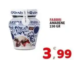 Il Centro Superstore Fabbri amarene offerta