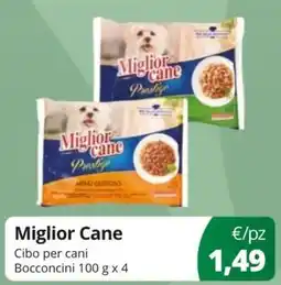 Acqua & Sapone Miglior Cane Cibo per cani Bocconcini offerta