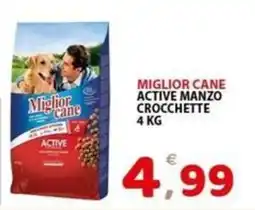 Il Centro Superstore Miglior cane Active manzo crocchette offerta