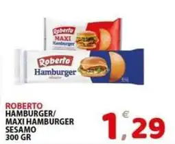 Il Centro Superstore Roberto Hamburger Sesamo offerta