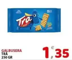Il Centro Superstore Galbusera Trà offerta