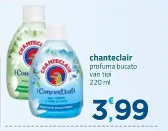 Chanteclair i Concentrati