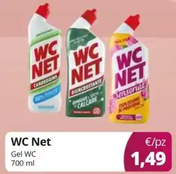 Acqua & Sapone WC Net Gel WC offerta