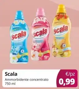 Acqua & Sapone Scala Ammorbidente concentrato offerta