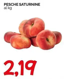 Hardis Pesche Saturnine offerta