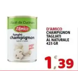 Il Centro Superstore D'Amico funghi champignon offerta