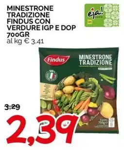 Hardis Minestrone tradizione Findus offerta