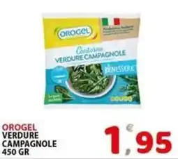 Il Centro Superstore Orogel contorno verdure campagnole offerta