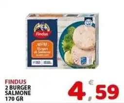 Il Centro Superstore Findus Burger di Salmone offerta