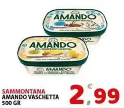 Il Centro Superstore Sammontana amando vaschetta offerta