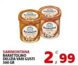 Il Centro Superstore Sammontana Barattolino Delizia vari gusti offerta