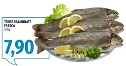 Emi Market Trota salmonata fresca offerta