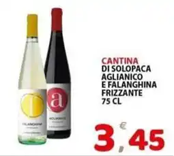 Il Centro Superstore Cantina di Solopaca Aglianico e Falanghina Frizzante offerta