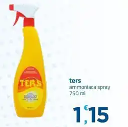 Bravo Casa ters ammoniaca spray offerta