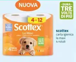 Bravo Casa scottex carta igienica la maxi offerta