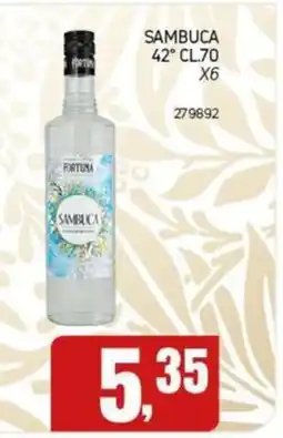 Migro Sambuca Fortuna offerta
