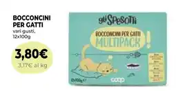 Coop BOCCONCINI PER GATTI offerta
