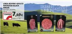 Coop LINEA BOVINO ADULTO ABERDEEN BLACK ANGUS offerta