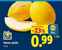 Lidl Melone Giallo offerta