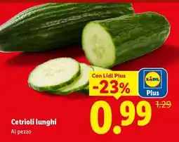 Lidl Cetrioli Lunghi offerta