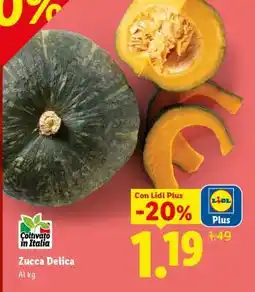 Lidl Zucca Delica offerta