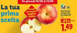 Lidl Mele Gala del Trentino IGP/Alto Adige IGP offerta