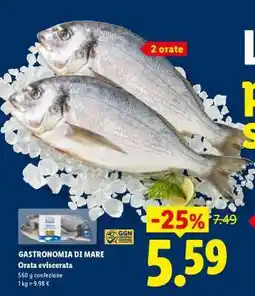 Lidl GASTRONOMIA DI MARE Orata eviscerata offerta