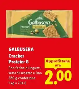 Lidl GALBUSERA CRACKER PROTEIN-G offerta