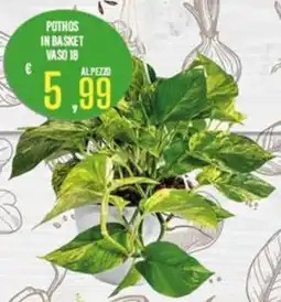 Supermercati EffePiù Pothos in basket offerta