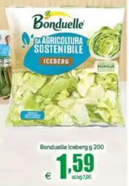 Elite Bonduelle Iceberg offerta